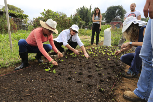 Curso Agroecologia Y Cultivo Biointensivo