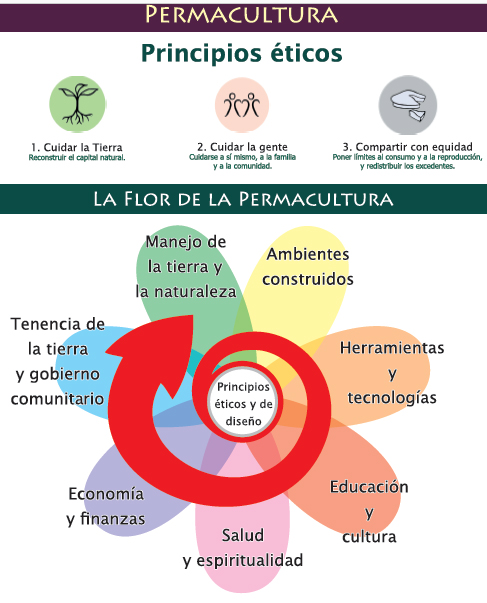 2 Cartel flor
