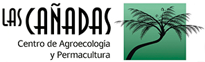 Las Cañadas – Bosque de Niebla Logo