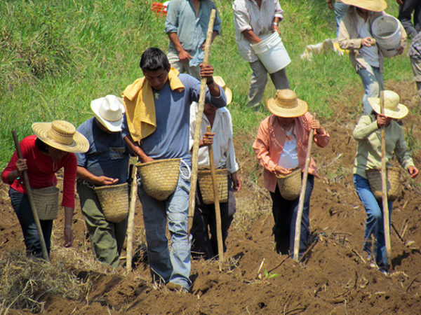 Agroecología, Definiciones, Principios Y Características