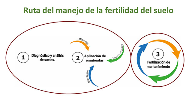 Ruta-manejo-fertilidad-suelo