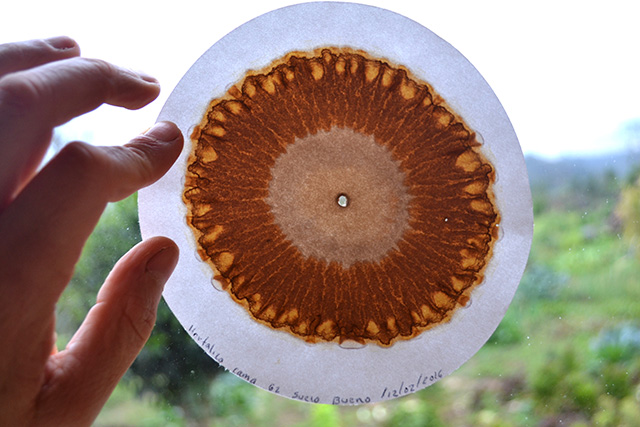 cromatografia-manejo-fertilidad-suelo