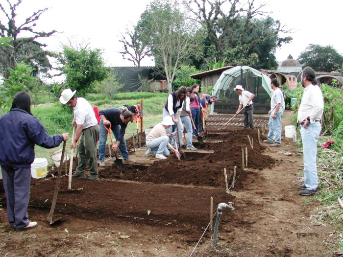 Curso Agroecologia Y Cultivo Biointensivo