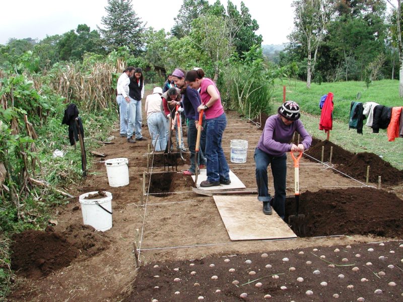 Curso Agroecologia Y Cultivo Biointensivo