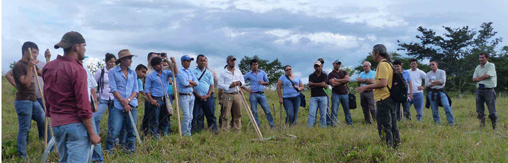 curso_diseno_hidrologico_keyline_line_clave (10)