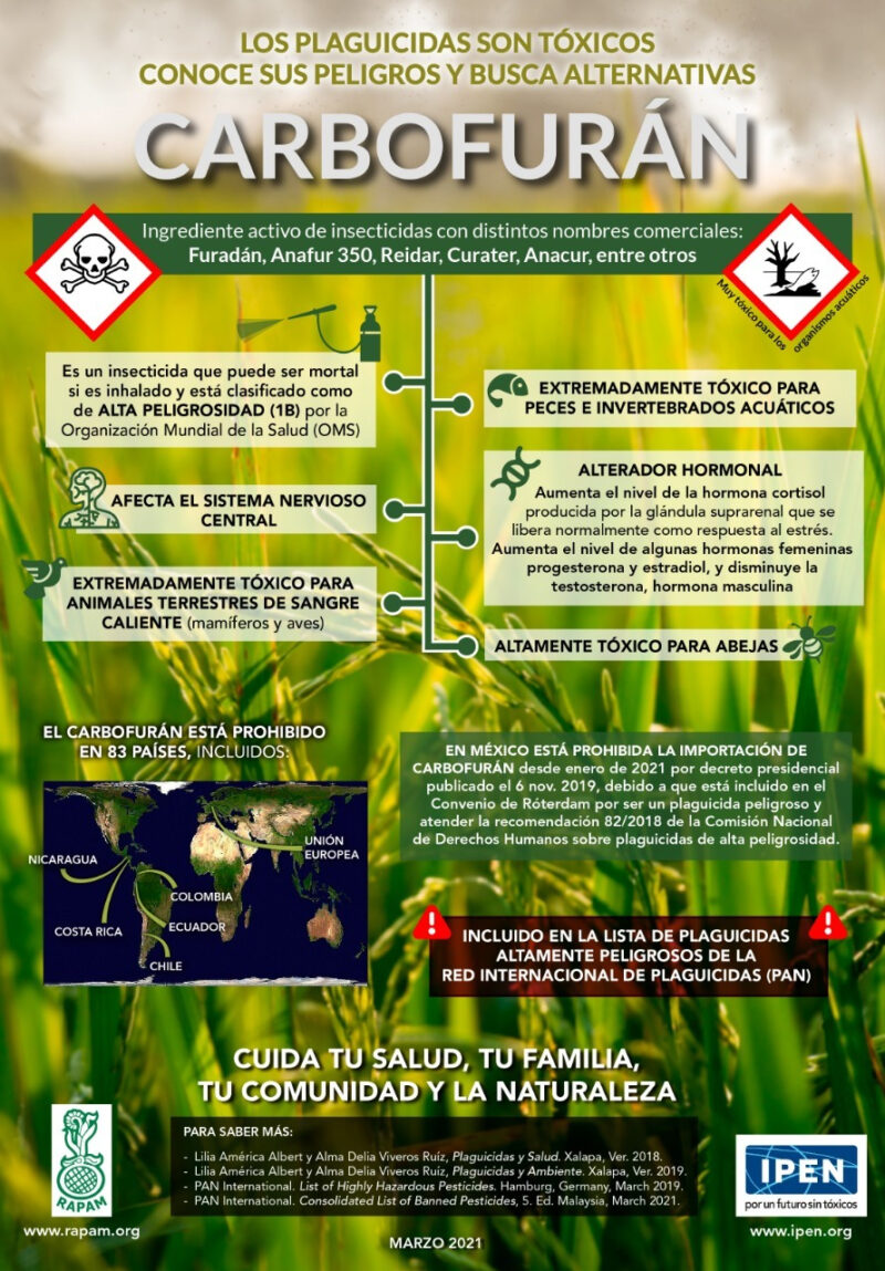 Los Plaguicidas Son Tóxicos Conoce Sus Peligros Y Busca Alternativas