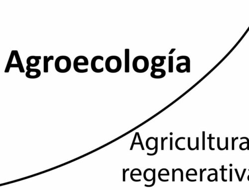 Conexiones entre agroecología y agricultura regenerativa