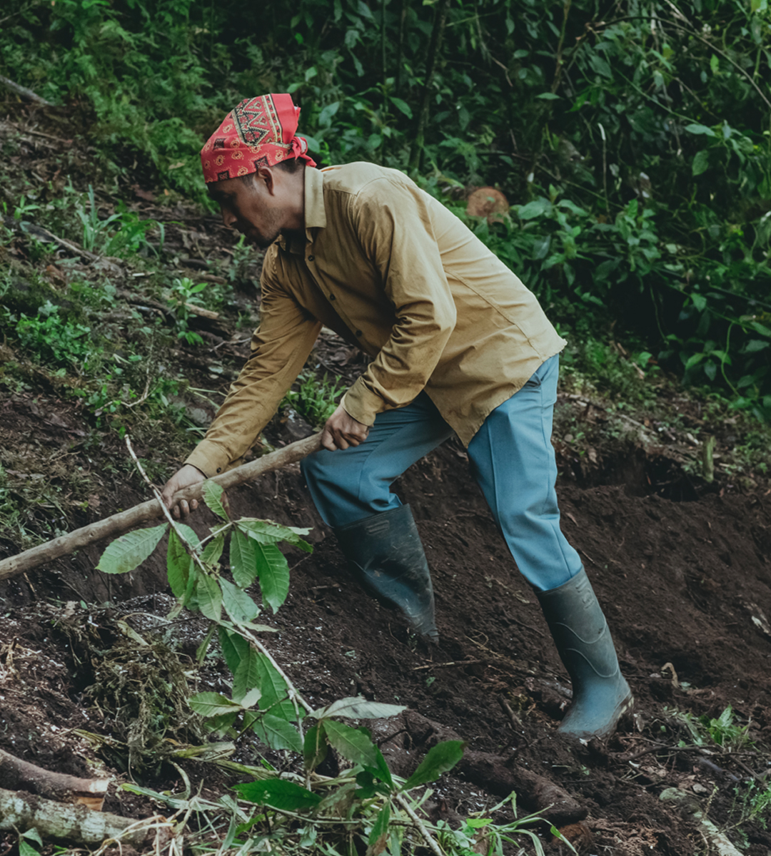 mega-menu-becas-asociacion-civil-a-c-bosque-de-niebla