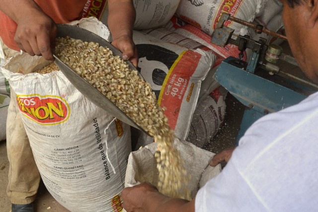 Somos un centro de Agroecología y Permacultura en Veracruz