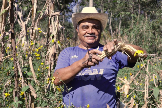 Somos un centro de Agroecología y Permacultura en Veracruz