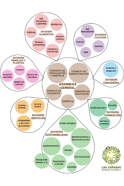 organigrama-estructura-operativa-las-canadas-bosque-de-niebla