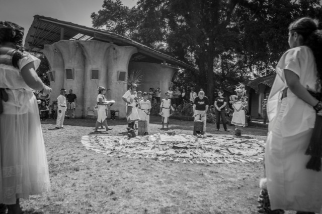 salud-y-espiritualidad-las-canadas-bosque-de-niebla