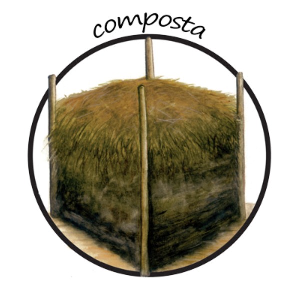 2-composta-huerto-biointensivo-las-canadas-bosque-de-niebla
