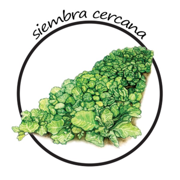 3-siembra-cercana-huerto-biointensivo-las-canadas-bosque-de-niebla