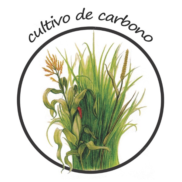 5-cultivos-de-carbono-huerto-biointensivo-las-canadas-bosque-de-niebla