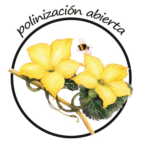 7-semillas-de-polinizacion-abierta-huerto-biointensivo-las-canadas-bosque-de-niebla
