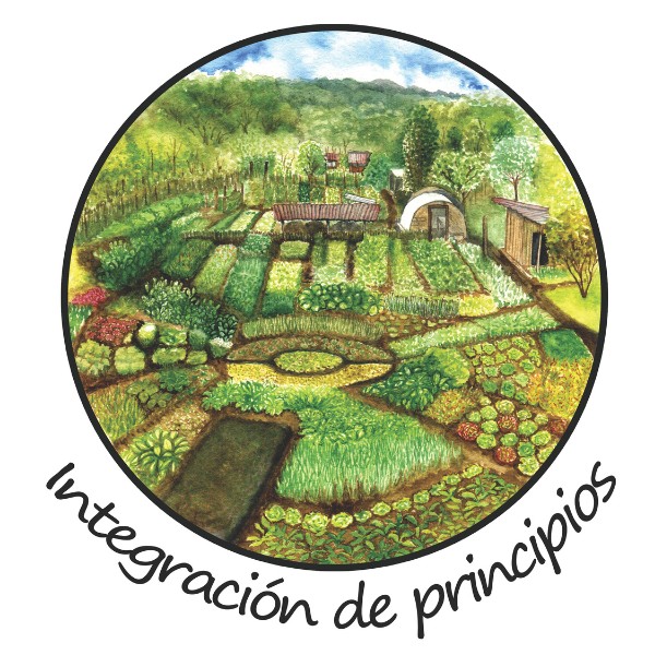 8-integracion-de-los-principios-huerto-biointensivo-las-canadas-bosque-de-niebla