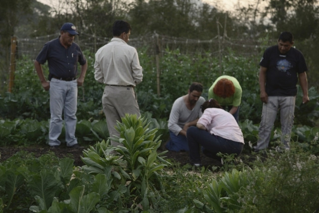 agroecologia-las-canadas-bosque-de-niebla
