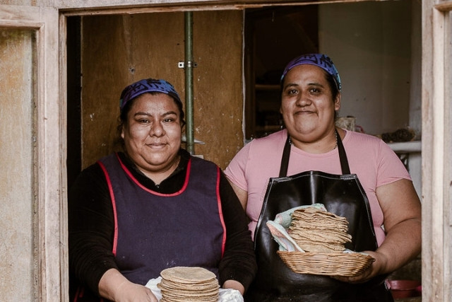 agroecologia-las-canadas-cocineras-bosque-de-niebla