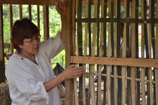 bioconstruccion-3-las-canadas-bosque-de-niebla