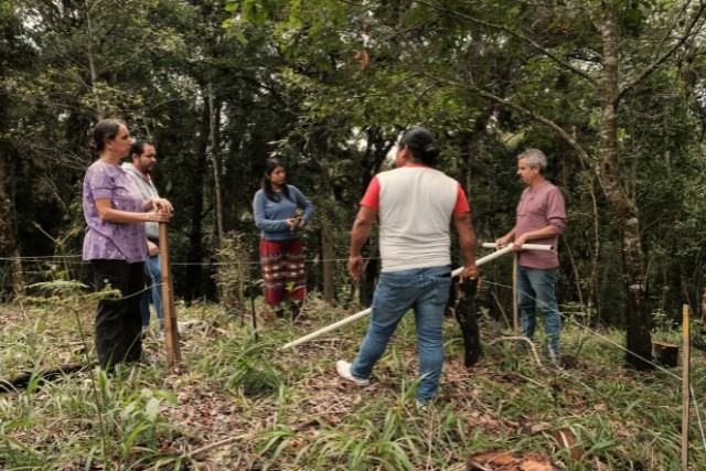 cafetal-de-sombra-4-las-canadas-bosque-de-niebla