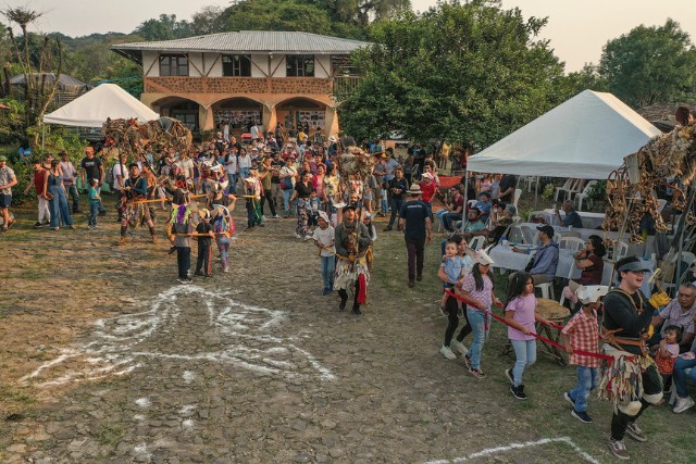 festival-las-canadas-bosque-de-niebla
