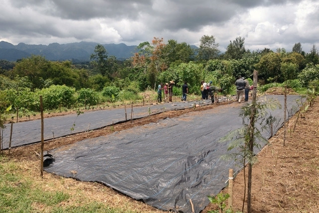 huerto-agroforestal-preparacion-las-canadas-bosque-de-niebla