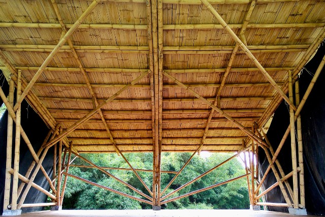 preservacion-del-bambu-6-las-canadas-bosque-de-niebla