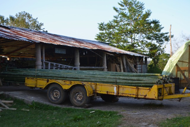 preservacion-del-bambu-8-las-canadas-bosque-de-niebla