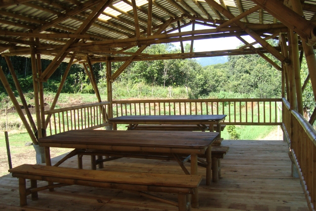 preservacion-del-bambu-comedor-escuelita-las-canadas-bosque-de-niebla