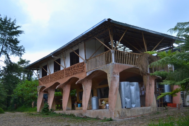preservacion-del-bambu-techo-oficina-las-canadas-bosque-de-niebla