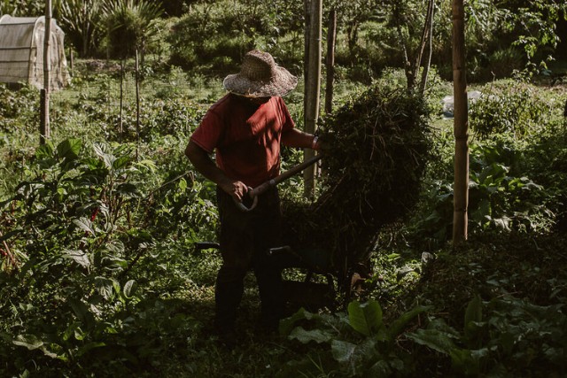 produccion-y-conservacion-de-semillas-4-las-canadas-bosque-de-niebla