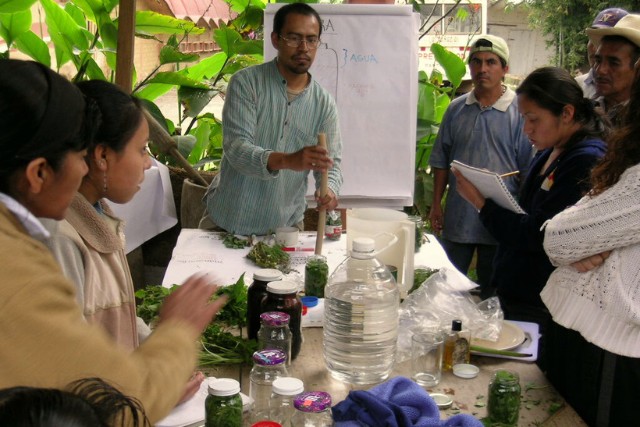 salud-y-espiritualidad-1-las-canadas-bosque-de-niebla