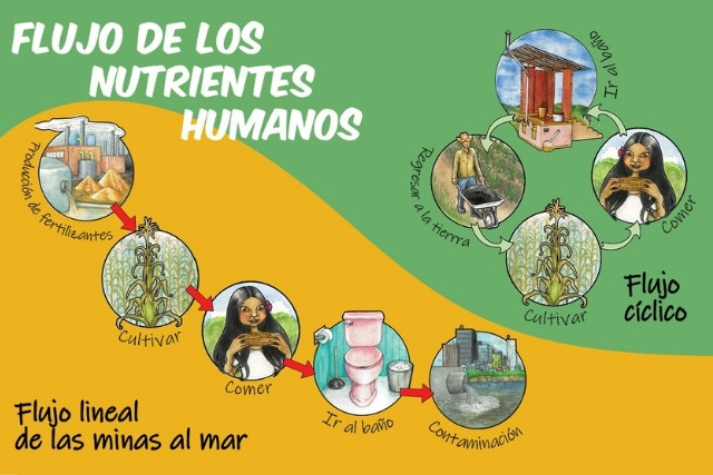 sanitario-seco-ecologico-nutrientes-las-canadas-bosque-de-niebla