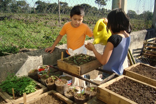 talleres-educacion-infantil-las-canadas-bosque-de-niebla