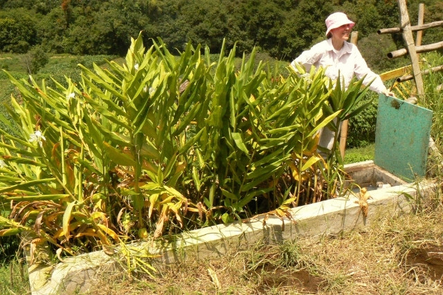 tratamiento-aguas-jabonosas-biofiltros-2-las-canadas-bosque-de-niebla