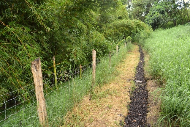 tratamiento-aguas-jabonosas-biofiltros-infiltracion-las-canadas-bosque-de-niebla