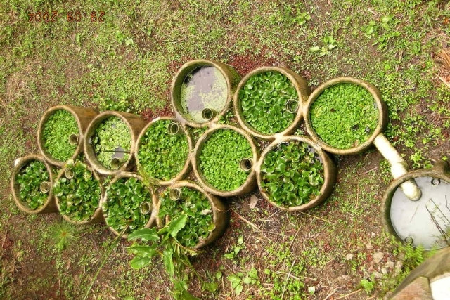 tratamiento-aguas-jabonosas-biofiltros-las-canadas-bosque-de-niebla