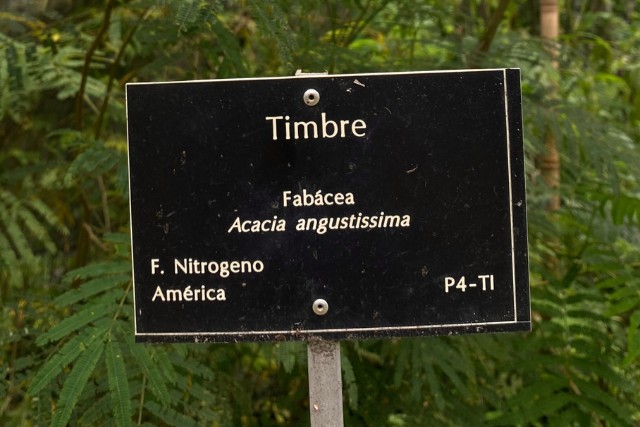 vivero-forestal-3-las-canadas-bosque-de-niebla