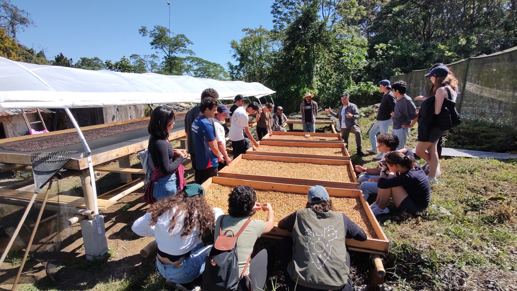 Experiencia_de_cafe-(12)-1