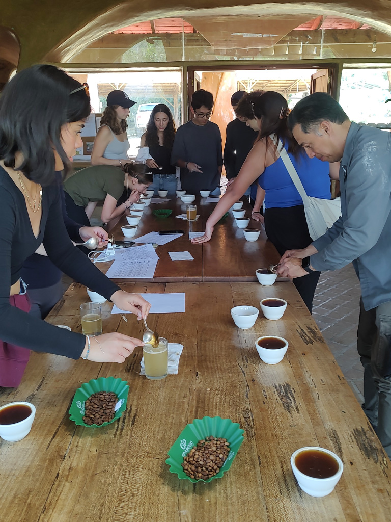 Experiencia_de_cafe-(17)-1