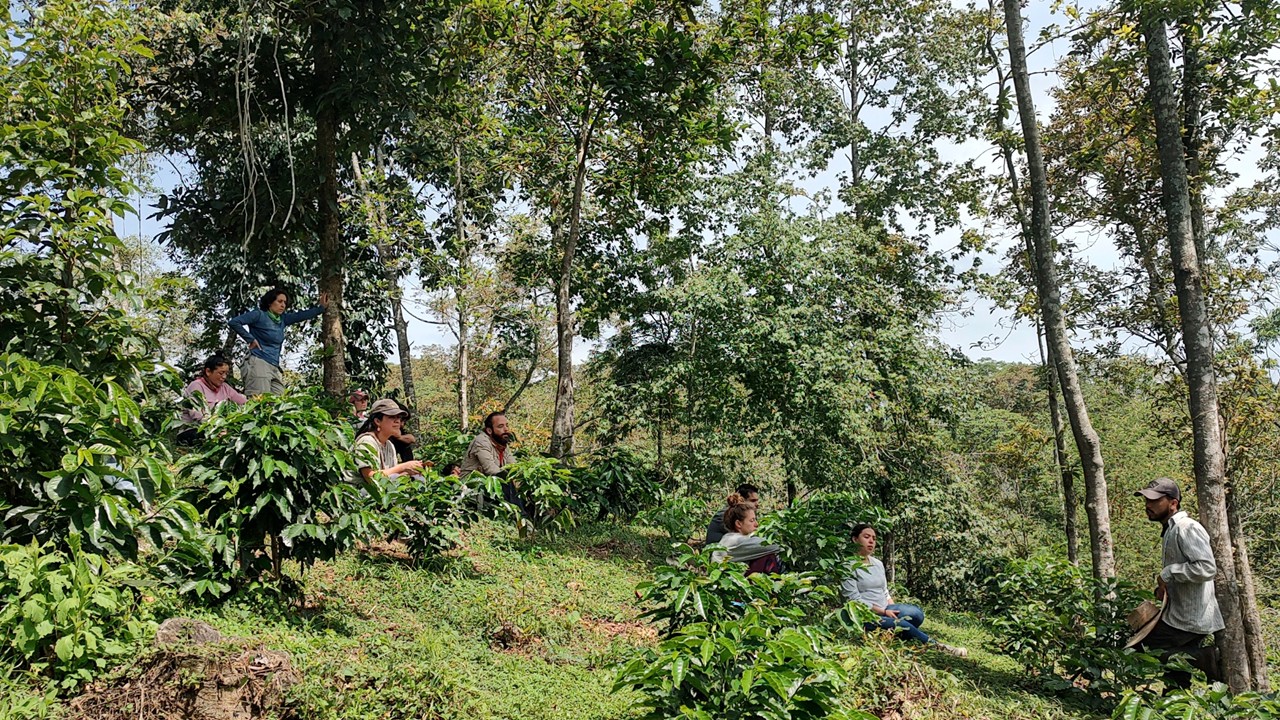 Experiencia_de_cafe (2)