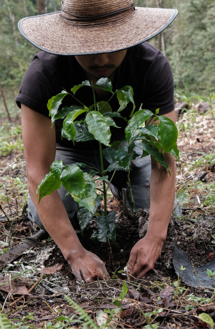 Experiencia_de_cafe-(6)-1