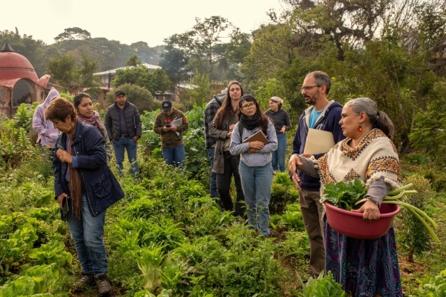 cosecha-hortalizas-curso-cocina-las-canadas-bosque-de-niebla