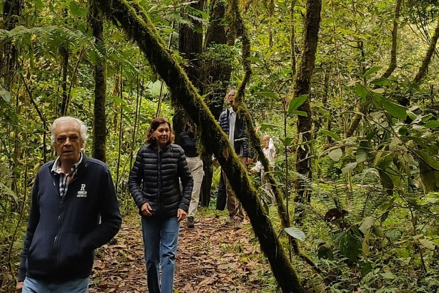 experiencia de vida regenerativa 1