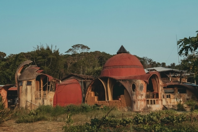 experiencia de vida regenerativa 4