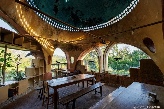 experiencia de vida regenerativa 6