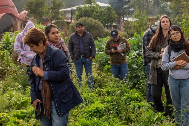 experiencia de vida regenerativa