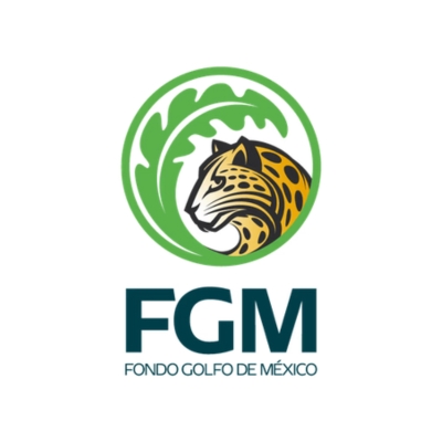 fgm-logo