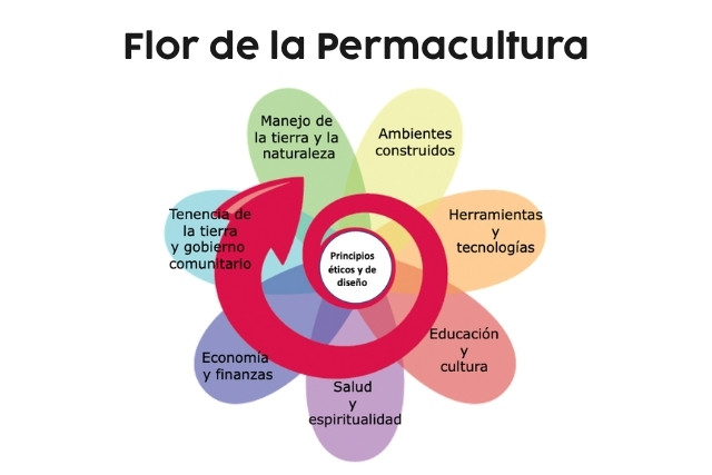 flor-de-la-permacultura-las-canadas-bosque-de-niebla